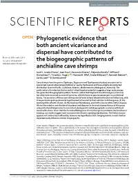 Phylogenetic Evidence That Both Ancient Vicariance and Dispersal Have Contributed to the Biogeographic Patterns of Anchialine Ca