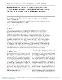 Spatial Distribution Patterns of Echinococcus Multilocularis