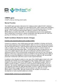 CEBPA Gene CCAAT Enhancer Binding Protein Alpha