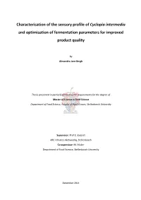 Characterisation of the Sensory Profile of Cyclopia Intermedia and Optimisation of Fermentation Parameters for Improved Product Quality
