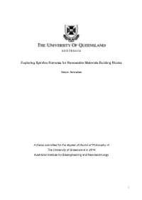 Exploring Spinifex Biomass for Renewable Materials Building Blocks