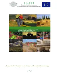 Case Study XY (Task 3.5)