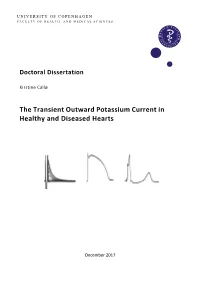 Doctoral Dissertation