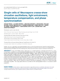 Single Cells of Neurospora Crassa Show Circadian Oscillations, Light Entrainment, Temperature Compensation, and Phase Synchronization