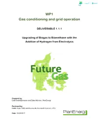 WP1 Gas Conditioning and Grid Operation