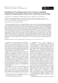 Identification of Novel Betaproteobacteria in a Succinate-Assimilating Population in Denitrifying Rice Paddy Soil by Using Stable Isotope Probing