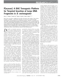 P[Acman]: a BAC Transgenic Platform for Targeted Insertion of Large DNA