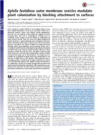 Xylella Fastidiosa Outer Membrane Vesicles Modulate Plant Colonization by Blocking Attachment to Surfaces
