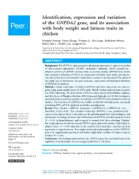 Identification, Expression and Variation of the GNPDA2 Gene, and Its Association with Body Weight and Fatness Traits in Chicken