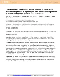 Comprehensive Comparison of Four Species of Onchidiidae Provides Insights on Morphological and Molecular Adaptations of Invertebrates from Shallow Seas to Wetlands