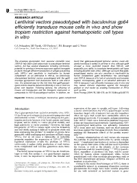 Lentiviral Vectors Pseudotyped with Baculovirus Gp64 Efficiently