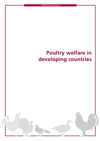 Poultry Welfare in Developing Countries Poultry Development Review • Poultry Welfare in Developing Countries