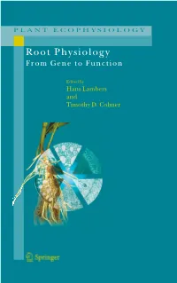 Root Physiology from Gene to Function