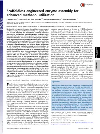 Scaffoldless Engineered Enzyme Assembly for Enhanced Methanol Utilization