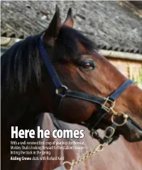 With a Well-Received First-Crop of Yearlings for Heeraat, Mickley Stud Is Looking Forward to the Stallion’S Runners Hitting the Track in the Spring