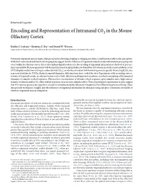 Encoding and Representation of Intranasal CO2 in the Mouse Olfactory Cortex