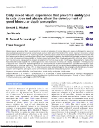 Daily Mixed Visual Experience That Prevents Amblyopia in Cats Does Not Always Allow the Development of Good Binocular Depth Perception