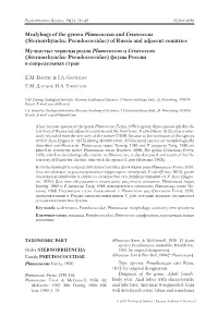 Mealybugs of the Genera Planococcus and Crisicoccus (Sternorrhyncha: Pseudococcidae) of Russia and Adjacent Countries