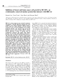 Inhibition of Breast and Brain Cancer Cell Growth by Bccipα, An