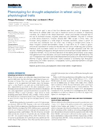 Phenotyping for Drought Adaptation in Wheat Using Physiological Traits