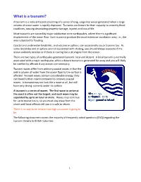 What Is a Tsunami? a Tsunami Is a Natural Hazard Consisting of a Series of Long, Surge-Like Waves Generated When a Large Volume of Ocean Water Is Rapidly Displaced