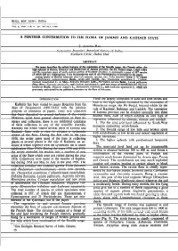 Djvu Document
