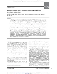 Honokiol Inhibits Lung Tumorigenesis Through Inhibition of Mitochondrial Function