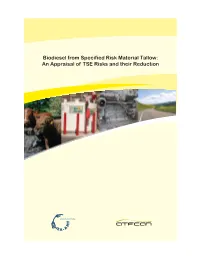 Biodiesel from Specified Risk Material Tallow: an Appraisal of TSE Risks and Their Reduction