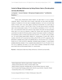 Control of Mango Anthracnose by Using Chinese Quince