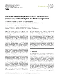 Homarus Gammarus) Exposed to Lower Ph at Two Different Temperatures
