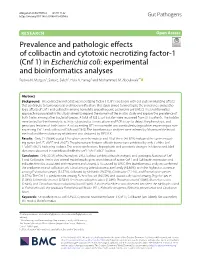 In Escherichia Coli: Experimental and Bioinformatics Analyses Radwa N