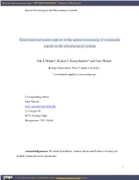 Behavioral and Neural Aspects of the Spatial Processing of Conspecific Signals in the Electrosensory System