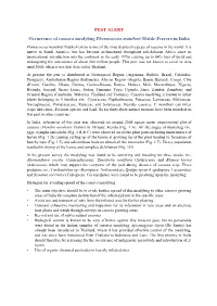 PEST ALERT Occurrence of Cassava Mealybug Phenacoccus Manihoti