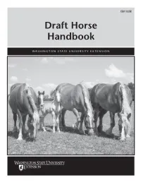 Draft Horse Handbook