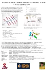 Evolution of Protein Structure and Function: Conserved Domains Dr