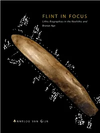 FLINT in FOCUS Lithic Biographies in the Neolithic and FLINT Bronze Age