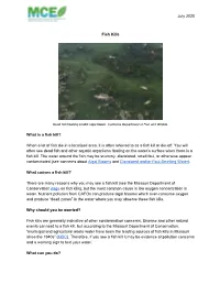 July 2020 Fish Kills What Is a Fish Kill? When a Lot of Fish Die in a Localized