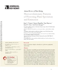 Macroevolutionary Patterns of Flowering Plant Speciation and Extinction