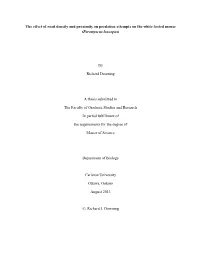 The Effect of Road Density and Proximity on Predation Attempts on the White Footed Mouse (Peromyscus Leucopus)