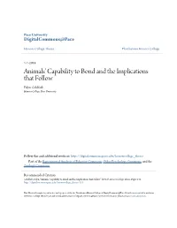 Animals' Capability to Bond and the Implications That Follow Falyn Goldfarb Honors College, Pace University