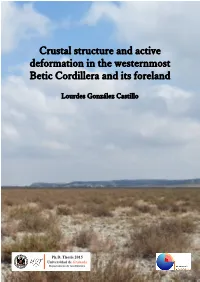 Crustal Structure and Active Deformation in the Westernmost Betic Cordillera and Its Foreland