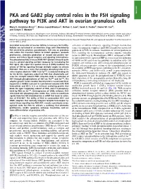 PKA and GAB2 Play Central Roles in the FSH Signaling Pathway to PI3K