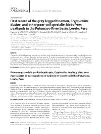 First Record of the Gray-Legged Tinamou, Crypturellus