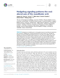 Hedgehog Signaling Patterns the Oral- Aboral Axis of the Mandibular Arch