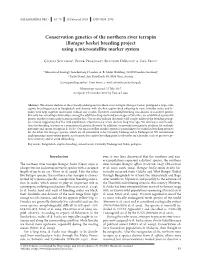 Conservation Genetics of the Northern River Terrapin (Batagur Baska) Breeding Project Using a Microsatellite Marker System