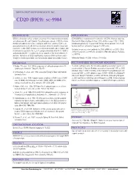 CD20 (B9E9): Sc-9984