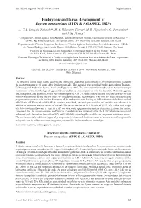 Embryonic and Larval Development of Brycon Amazonicus (SPIX & AGASSIZ, 1829) A