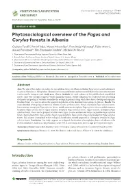 ﻿Phytosociological Overview of the Fagus and Corylus Forests in Albania