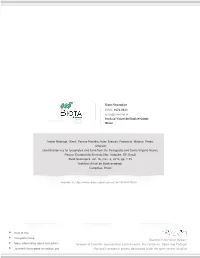Redalyc.Identification Key for Lycophytes and Ferns from The