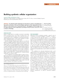Building Synthetic Cellular Organization